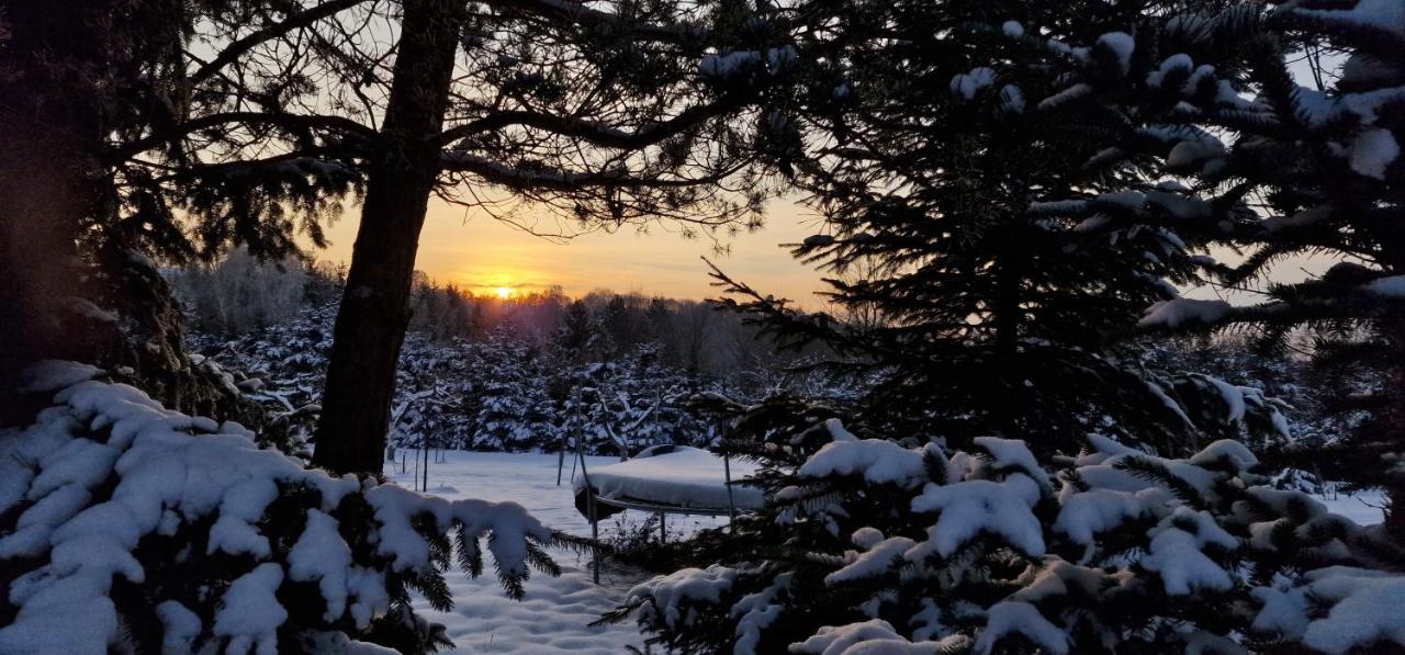 Sunset- Dom Zachod Slonca Spa Moldzie Dış mekan fotoğraf